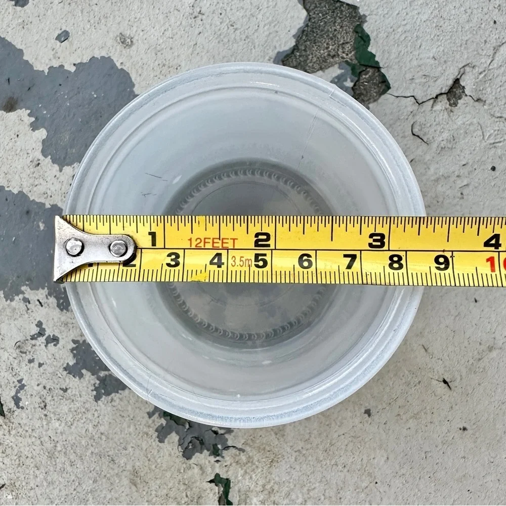 Frosted Glass Multi Functional Canister
